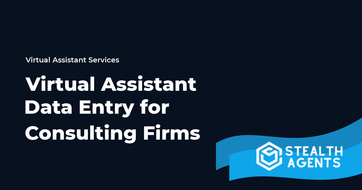 Virtual Assistant Data Entry for Consulting Firms