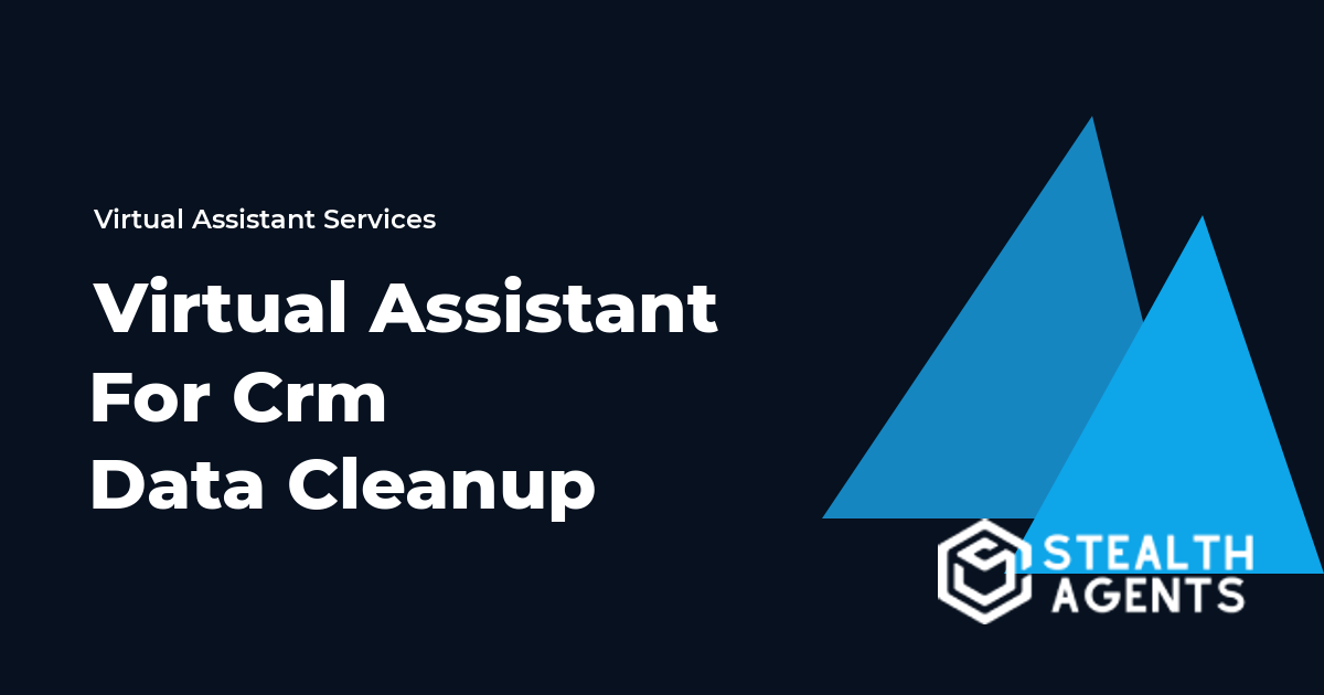 Virtual Assistant for CRM Data Cleanup